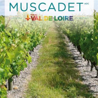 Vignes, vins, randos – 6 septembre 2014