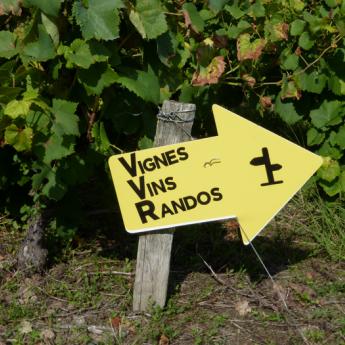 Vignes, vins, randos – 6 septembre 2014