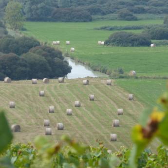 Les Marais de Goulaine depuis la Butte-de-la-Roche 